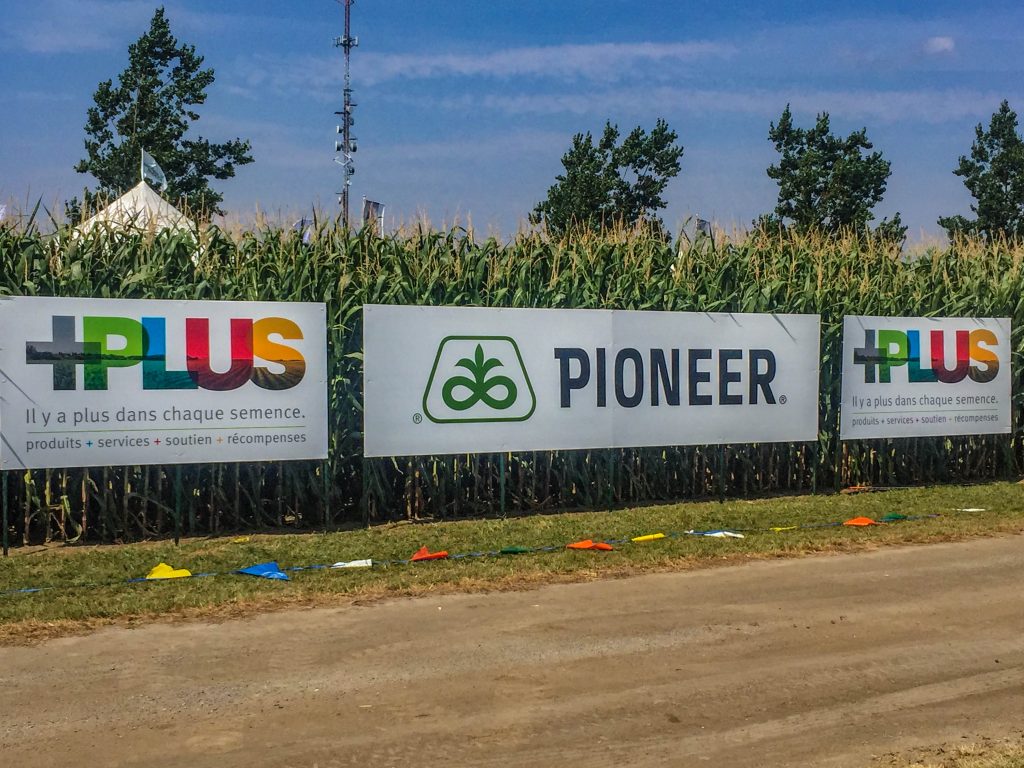 Banners on Cornfield Fence